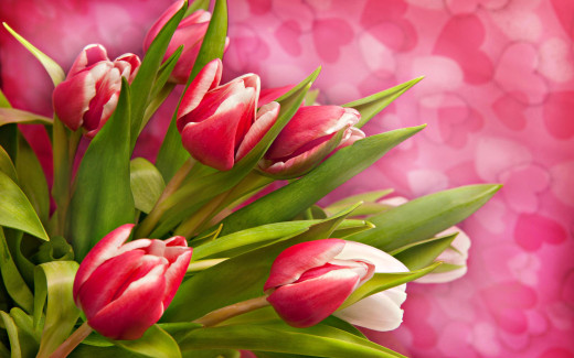 613355 (a): :2560x1600